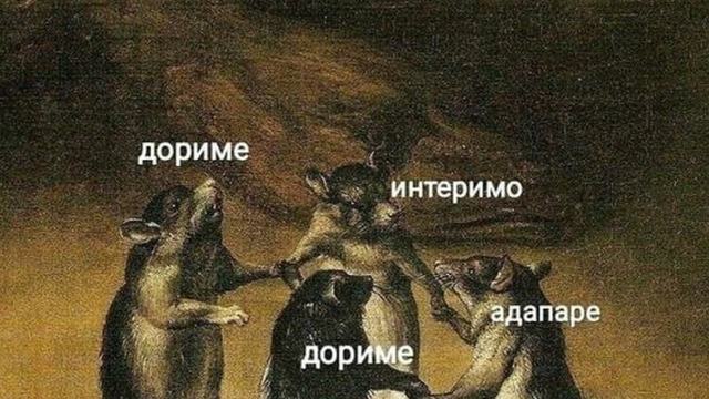 дориме